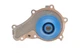 Комплект ГРМ + помпа Citroen Berlingo/Peugeot Partner 1.6HDI z=137 - VKMC 03259 SKF - изображение 6