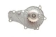 Комплект ГРМ + помпа Citroen Berlingo/Peugeot Partner 1.6HDI z=137 - VKMC 03259 SKF - изображение 10