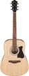 Акустическая гитара Ibanez V40 OPN - изображение 1