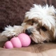 Іграшка-конг Kong Puppy для цуценят S - зображення 4