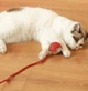 Интерактивная игрушка для кошек Умный мячик CatToy 3 режима Red - изображение 2