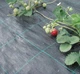 Агроткань Agrojutex 1х5 м Черная (2210704626019) - изображение 5
