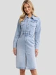 Плаття-сорочка джинсове міді осіннє жіноче Big Star Laylana 162 S Блакитне (5900714830878) - зображення 1