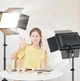 Лампа-панель світлодіодна Camera Light RL-900 для фото та відео з пультом 3000k-6500k розмір 23х16 см - зображення 8