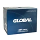 Автомобильный аккумулятор GLOBAL Asia SMF 100Ah 830A L+ SMF 130D31R - изображение 5