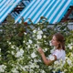 Гибискус сирийский 'White Chiffon'®. Контейнер 2л. Отправка в марте – апреле - изображение 5