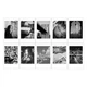 Фотоплівка Fujifilm INSTAX MINI MONOCHROME картридж для Instax mini - зображення 3