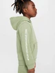 Детское теплое худи на флисе для мальчика Nike B Nsw Si Flc Po Hoodie Bb2 HM4339-386 128-137 см Салатовое (197599790266) - изображение 9