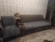 Комплекты покрывала для дивана и кресел Накидка на диван 90х210 и 2 шт 90х160 Серый (Д-am-divandek-0011) - изображение 4
