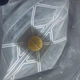 Противоаэрозольный респиратор 3M VFlex 9163V с клапаном - изображение 9