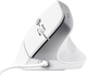 Мышь Trust Bayo II Ergon USB White (TR25397) - изображение 2