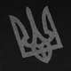 Світшот зимовий P1G Тризуб Logo Combat Black L (UA281-29911-BK-TRL) - изображение 5