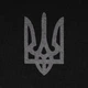 Світшот зимовий P1G Тризуб Logo Combat Black XL (UA281-29911-BK-TRL) - зображення 4