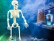 Скелет человека 40 см реалистичная фигурка - изображение 8