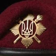 Берет ВСУ Отдельного Полка Президента Украины M / 55-56 Малиновый - изображение 2