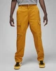 Брюки мужские Jordan Essentials Utility Pants L Жовтий DQ7342-712 - изображение 1