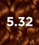Перманентная краска для волос Garnier Good без аммиака 5.32 Chestnut Golden Hour 217 мл (3600542574662) - изображение 2