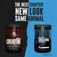 Креатин моногидрат Universal Nutrition Animal Micronized Creatine, 500 грам - изображение 2