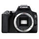 Зеркальный фотоаппарат Canon EOS 250D body (3454C001) - изображение 1