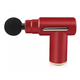 Масажер пістолет для тіла з 4 насадками та USB, акумуляторний / Перкусійний Gun Massager R01 (L) - изображение 5