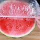 Полиэтиленовые пакеты на резинке (100 шт) + Мешочек, Freshness storage bag / Пищевые пакеты-крышки - изображение 2