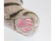 Мягкая игрушка TY BEANIE BELLIES Кошка MITZI 40539 - изображение 4