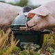 Керамічний гриль Big Green Egg MiniMax 119650 - зображення 8