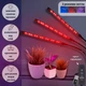 Фитолампа для растений тройная светодиодная LED с таймером 15Вт, настольная лампа для роста и цветения комнатных и тепличных растений на 3 ветки с клипсой-зажимом и USB питанием, красный, синий, фиолетовый свет Черная F-33 - изображение 2