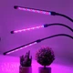 Фитолампа для растений тройная светодиодная LED с таймером 15Вт, настольная лампа для роста и цветения комнатных и тепличных растений на 3 ветки с клипсой-зажимом и USB питанием, красный, синий, фиолетовый свет Черная F-33 - изображение 4