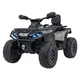 Электромобиль-квадроцикл Ramiz Can Am Outlander ATV 12 В серый, PA.DK-CA005.2.4GHZ.SZA - изображение 1