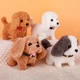 Мягкая игрушка Интерактивная собака с переноской Cute Plush Pet - изображение 2