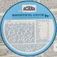 Сухой корм для котов Acana Bountifyl Catch Cat Лосось 1,8 кг (a71443) - изображение 3