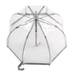 Зонт Fulton Birdcage-1 L041 Silver (L041-015599) - изображение 4