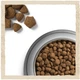 Сухой корм для собак Purina Dog Chow Adult Lamb со вкусом ягненка 2.5 кг (7613034485946) - изображение 5