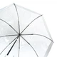 Зонт Fulton Birdcage-1 L041 White (L041-015582) - изображение 8