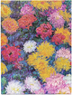 Блокнот Monet's Chrysanthemums ультралінований 18 х 23 см 144 аркуша (9781439797129) - зображення 3