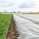 Агроволокно Agreen в рулоні 30 мк 1.07х100 м Біле (A8647) - зображення 3
