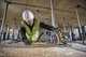 Пила дискова акумуляторна DeWALT DCS579T2 - зображення 6