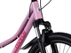 Подростковый велосипед RoyalBaby STUDENT BICYCLE 24' RO0160 Pink, RO0160 RO - изображение 11