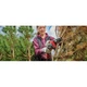Цепная пила Einhell GE-PS 18/15 Li BL - Solo PXC 18В, бесщеточная, шина 158мм, рез 125мм (без АКБ и ЗУ) (4600040) - изображение 4