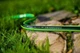 Шланг садовый Cellfast GREEN ATS 3/4" 25м 5 шаров до 30бар -20…+60°C (15-120) - изображение 3