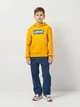 Дитяче тепле худі для хлопчика Levi`s Lvb Batwing Screenprint Hoodie 8E8778-N7J 104 см Жовте (3666643105013) - зображення 3
