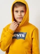 Дитяче тепле худі для хлопчика Levi`s Lvb Batwing Screenprint Hoodie 8E8778-N7J 104 см Жовте (3666643105013) - зображення 4