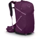 Рюкзак Osprey Sportlite 25 S/M Фиолетовый (1054-009.3036) - изображение 1