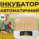 Автоматичний інкубатор для курячих яєць Теплуша Europe 56 S ТЕНовий з овоскопом, вбудованим вологоміром та вентилятором - зображення 1