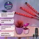 Фитолампа для растений тройная 15Вт, настольная светодиодная LED лампа на 3 ветки для подсветки рассады, комнатных и тепличных растений с таймером, клипсой-зажимом и USB питанием, синий, красный, фиолетовый свет Черная F-33 - изображение 2