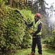 Кусторез DeWALT DCMPH566P1 - изображение 3