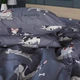 Наволочка MirSon 17-0663 Cute Pug Ranforce Elite 40x40 см (2200009852077) - изображение 1