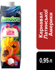 Упаковка нектара Sandora Вкусы мира Карнавал Латинской Америки 0.95 л х 10 шт (4823063129152) - изображение 2