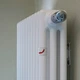 Сталевий трубчастий радіатор Zehnder Charleston 3060-20, білий - зображення 4